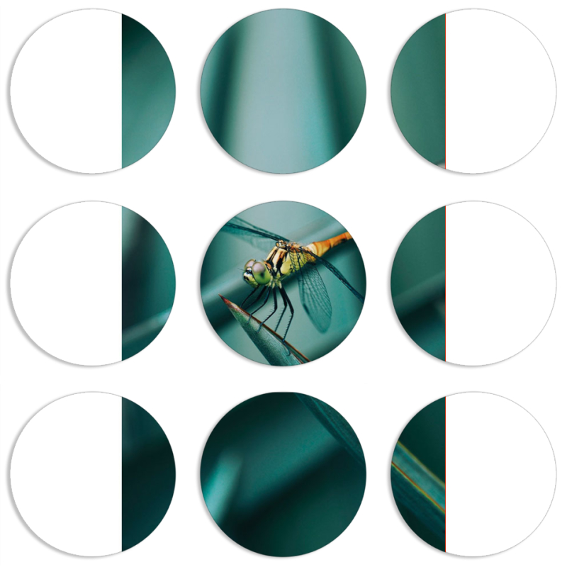 Магнитные фотопазлы круги d55 набор 9 штук 