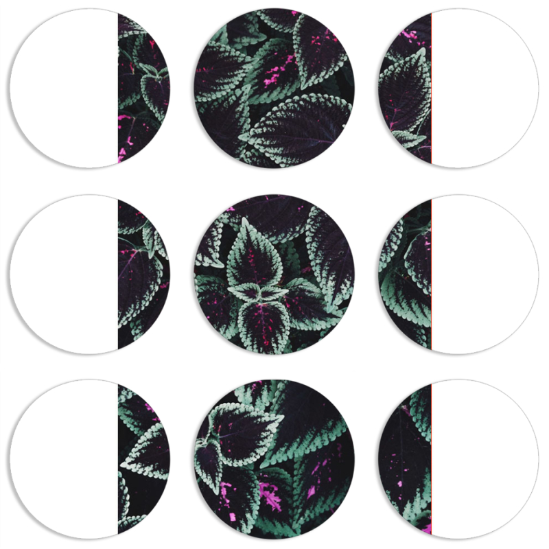 Магнитные фотопазлы круги d55 набор 9 штук 