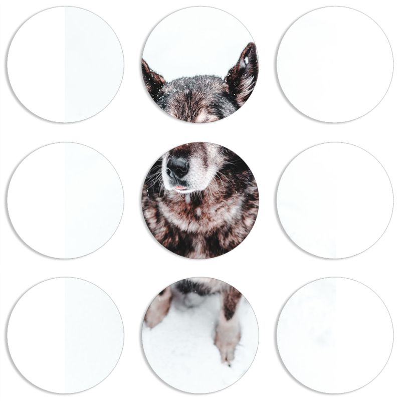 Магнитные фотопазлы круги d55 набор 9 штук 