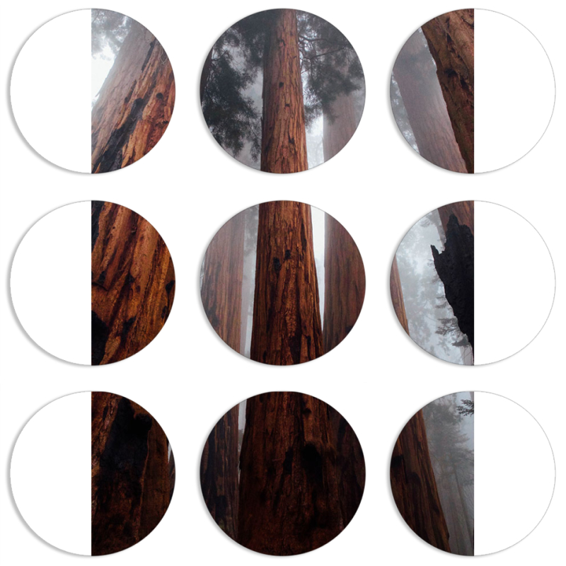 Магнитные фотопазлы круги d55 набор 9 штук 