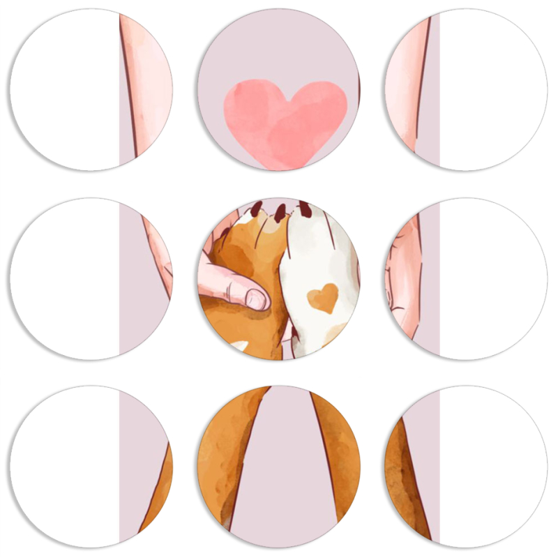 Магнитные фотопазлы круги d55 набор 9 штук 