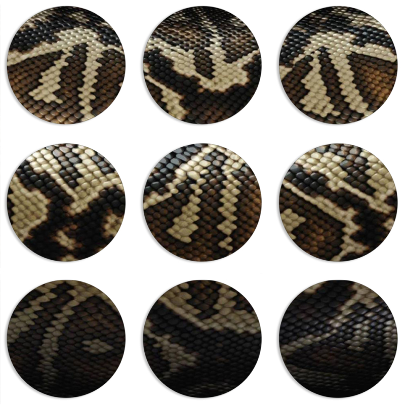 Магнитные фотопазлы круги d55 набор 9 штук 