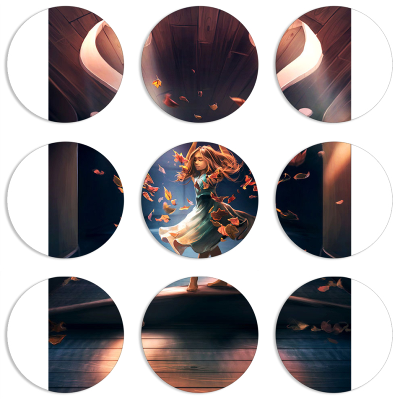 Магнитные фотопазлы круги d55 набор 9 штук 