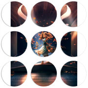 Магнитные фотопазлы круги d55 набор 9 штук 
