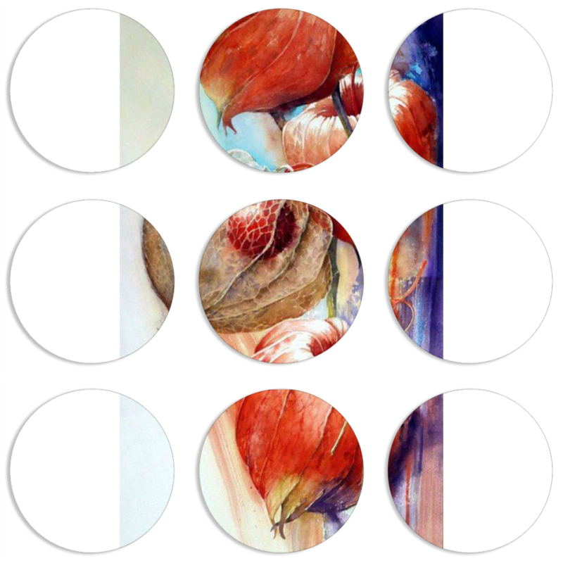 Магнитные фотопазлы круги d55 набор 9 штук 