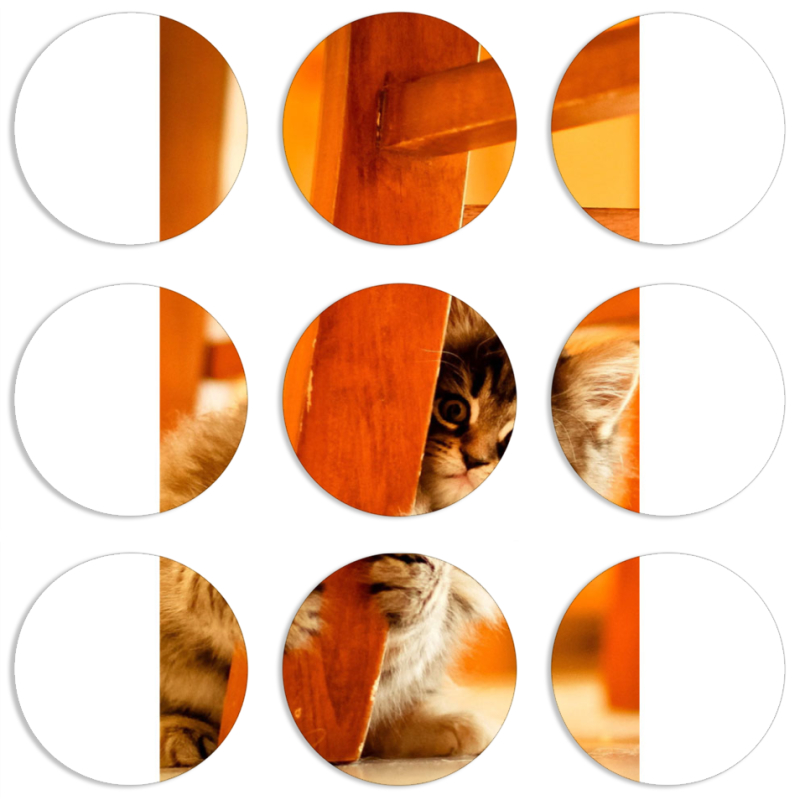 Магнитные фотопазлы круги d55 набор 9 штук 