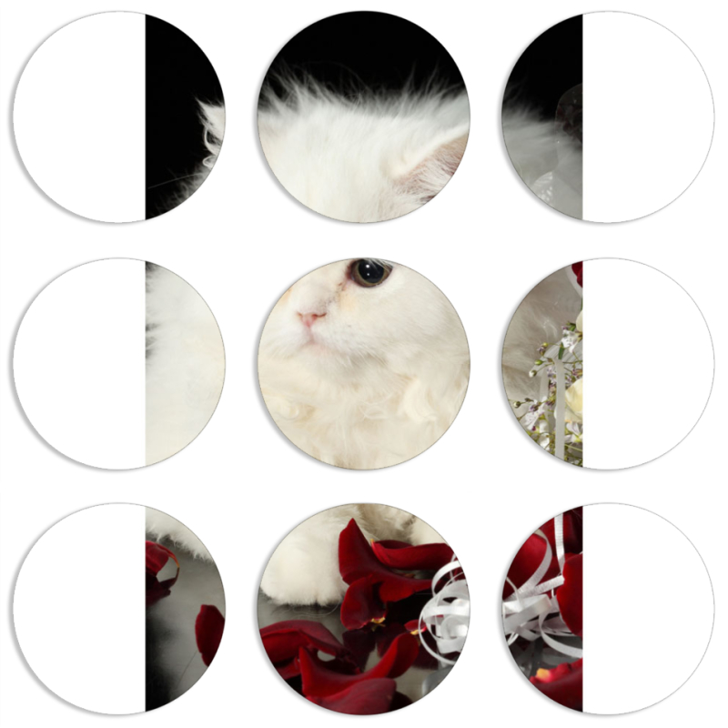 Магнитные фотопазлы круги d55 набор 9 штук Fluffy Cat