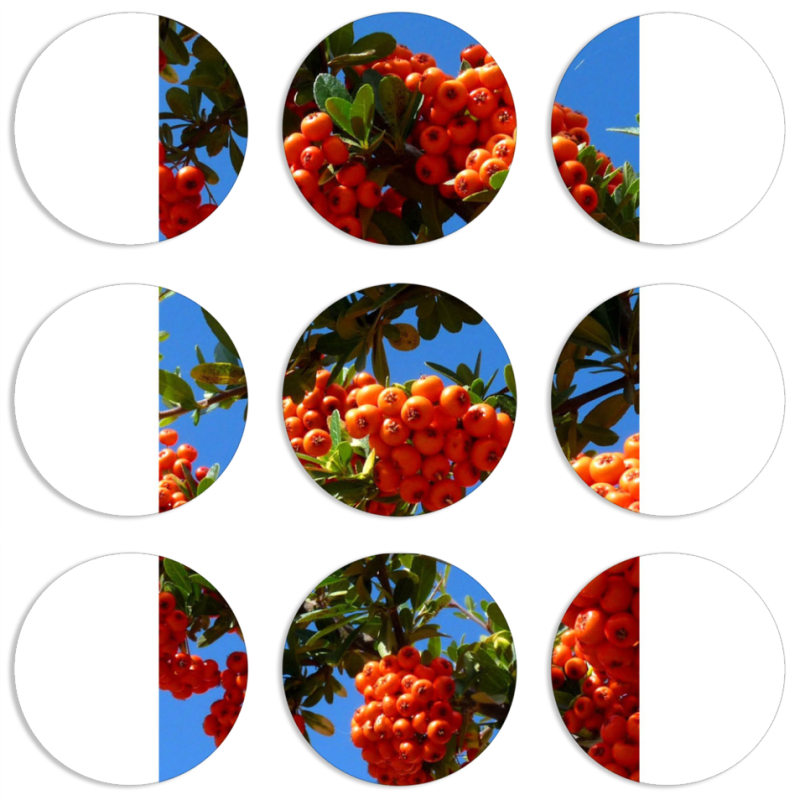 Магнитные фотопазлы круги d55 набор 9 штук 