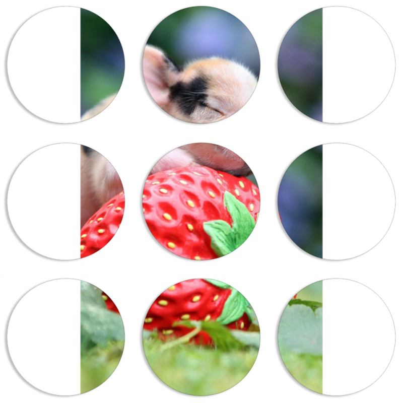 Магнитные фотопазлы круги d55 набор 9 штук 