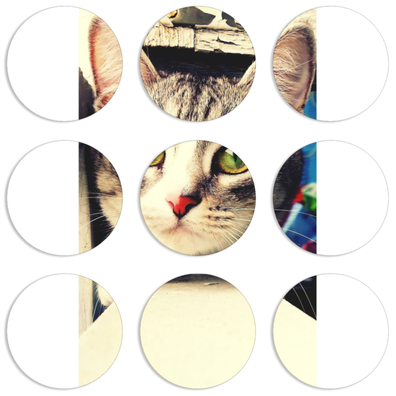 Магнитные фотопазлы круги d55 набор 9 штук 