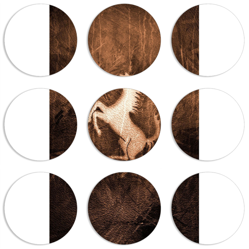 Магнитные фотопазлы круги d55 набор 9 штук 