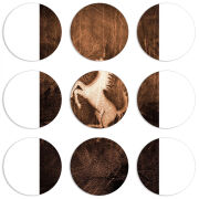 Магнитные фотопазлы круги d55 набор 9 штук 