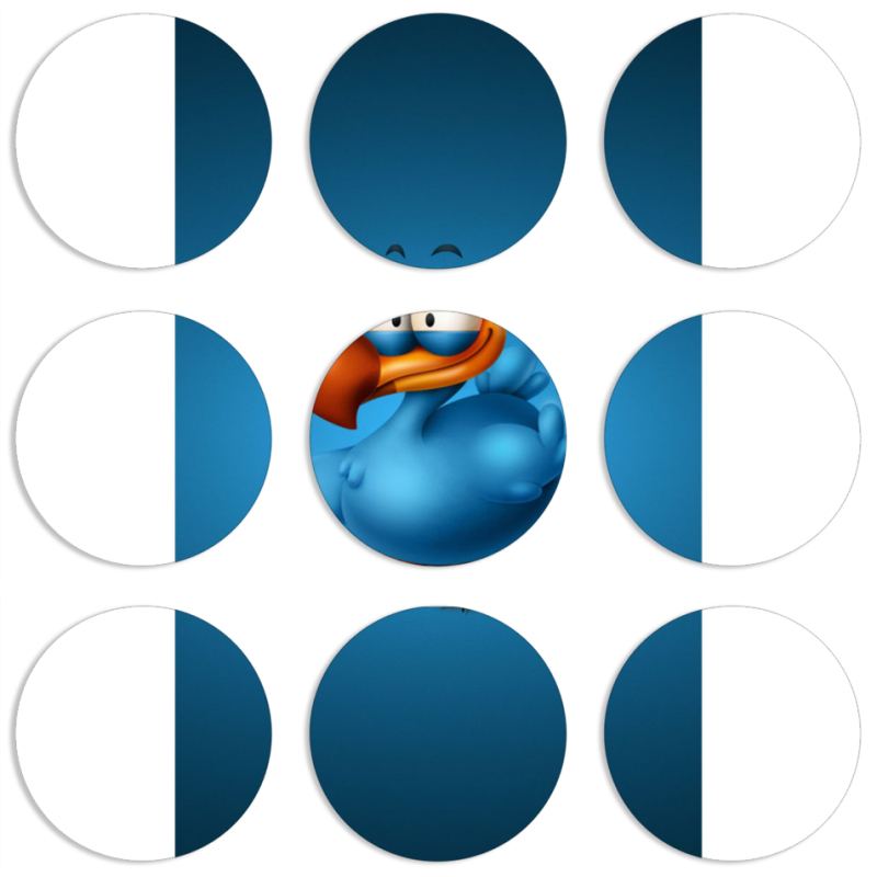 Магнитные фотопазлы круги d55 набор 9 штук 