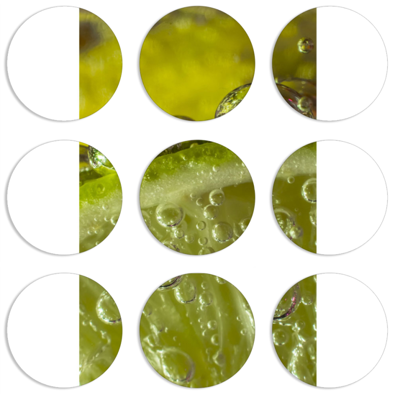 Магнитные фотопазлы круги d55 набор 9 штук 