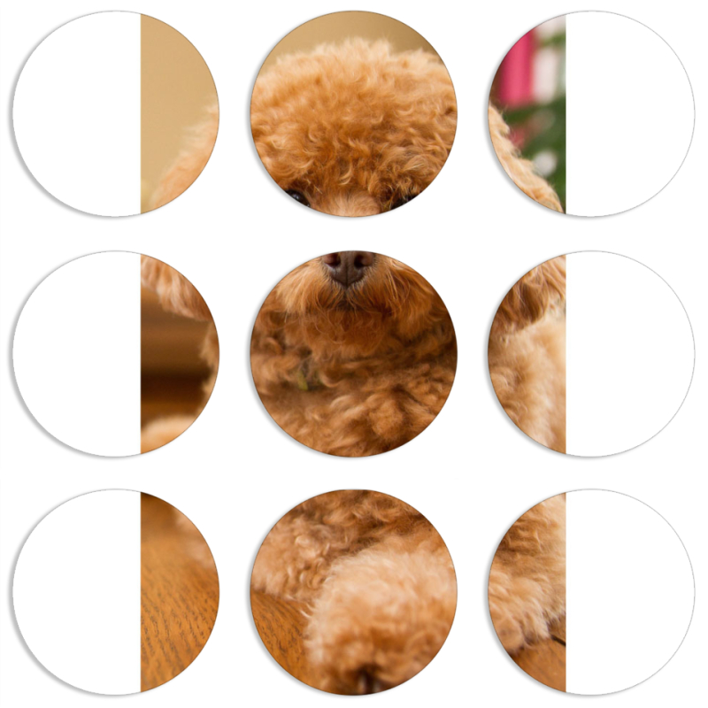 Магнитные фотопазлы круги d55 набор 9 штук 