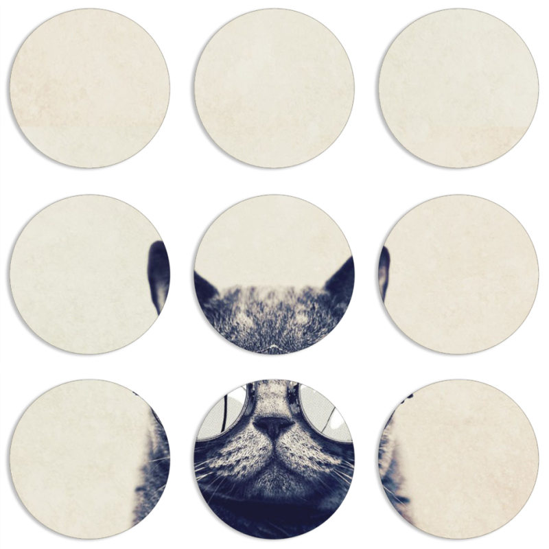 Магнитные фотопазлы круги d55 набор 9 штук Соглядатай Кот