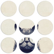 Магнитные фотопазлы круги d55 набор 9 штук Соглядатай Кот