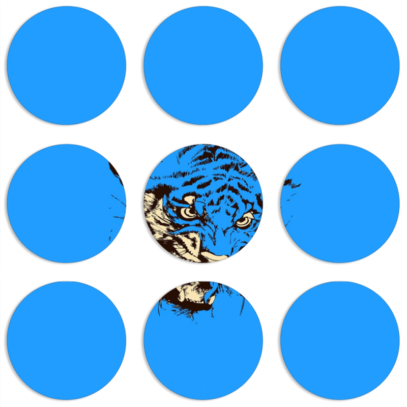 Магнитные фотопазлы круги d55 набор 9 штук 