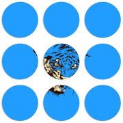 Магнитные фотопазлы круги d55 набор 9 штук 