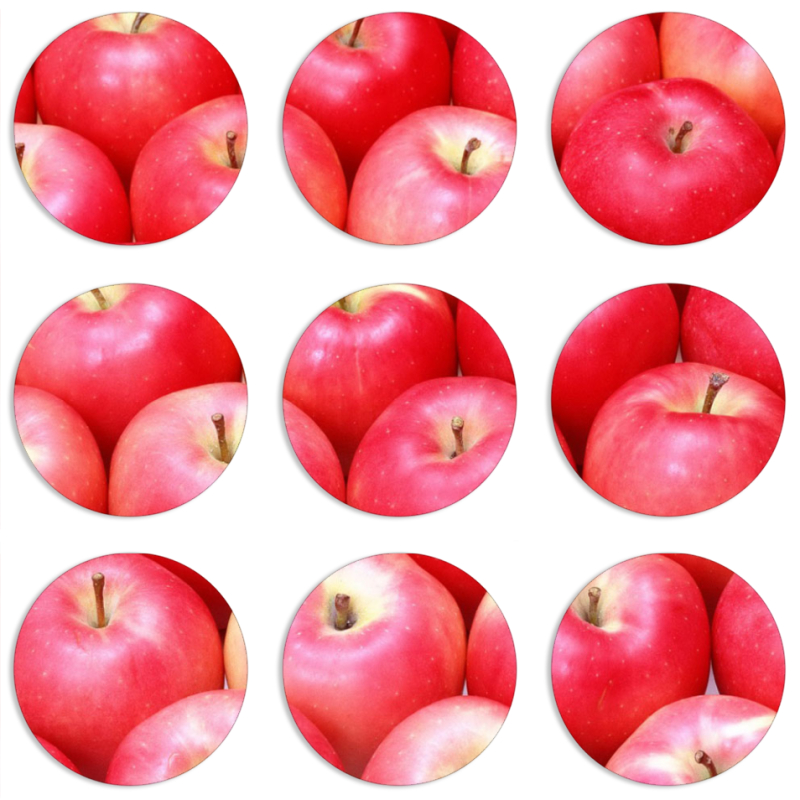 Магнитные фотопазлы круги d55 набор 9 штук 