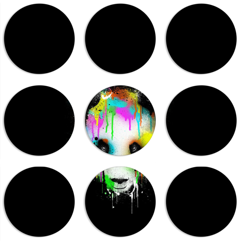 Магнитные фотопазлы круги d55 набор 9 штук 