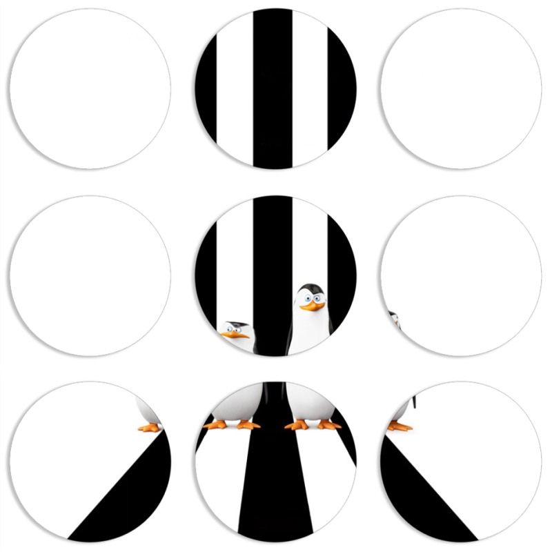 Магнитные фотопазлы круги d55 набор 9 штук 