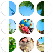 Магнитные фотопазлы круги d55 набор 9 штук 