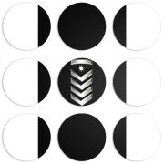 Магнитные фотопазлы круги d55 набор 9 штук 