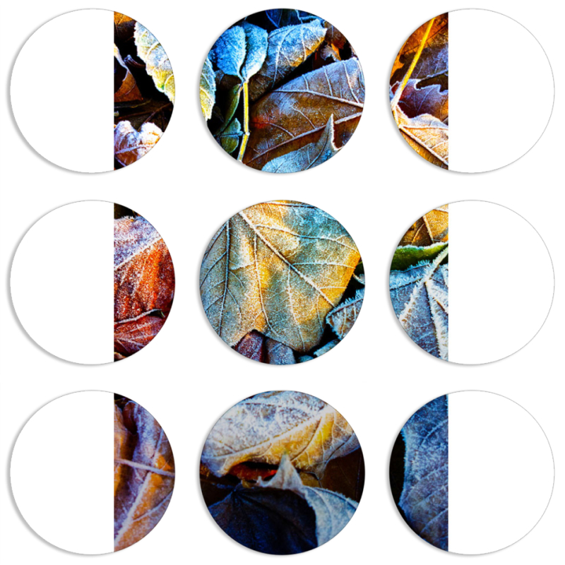 Магнитные фотопазлы круги d55 набор 9 штук 