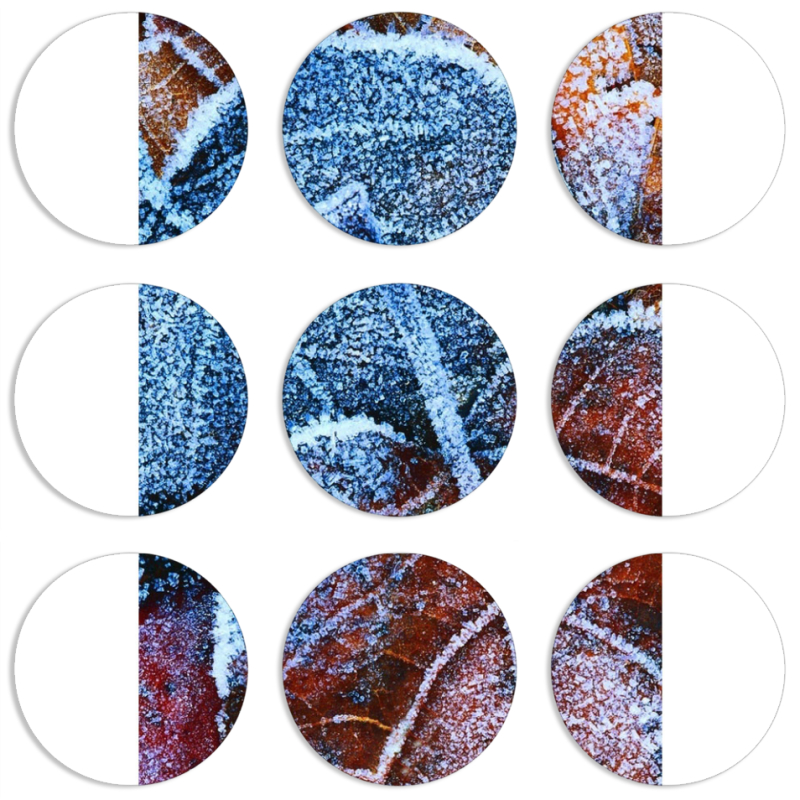 Магнитные фотопазлы круги d55 набор 9 штук 