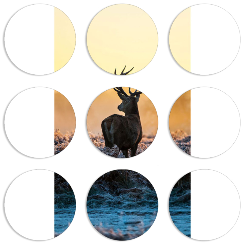 Магнитные фотопазлы круги d55 набор 9 штук 