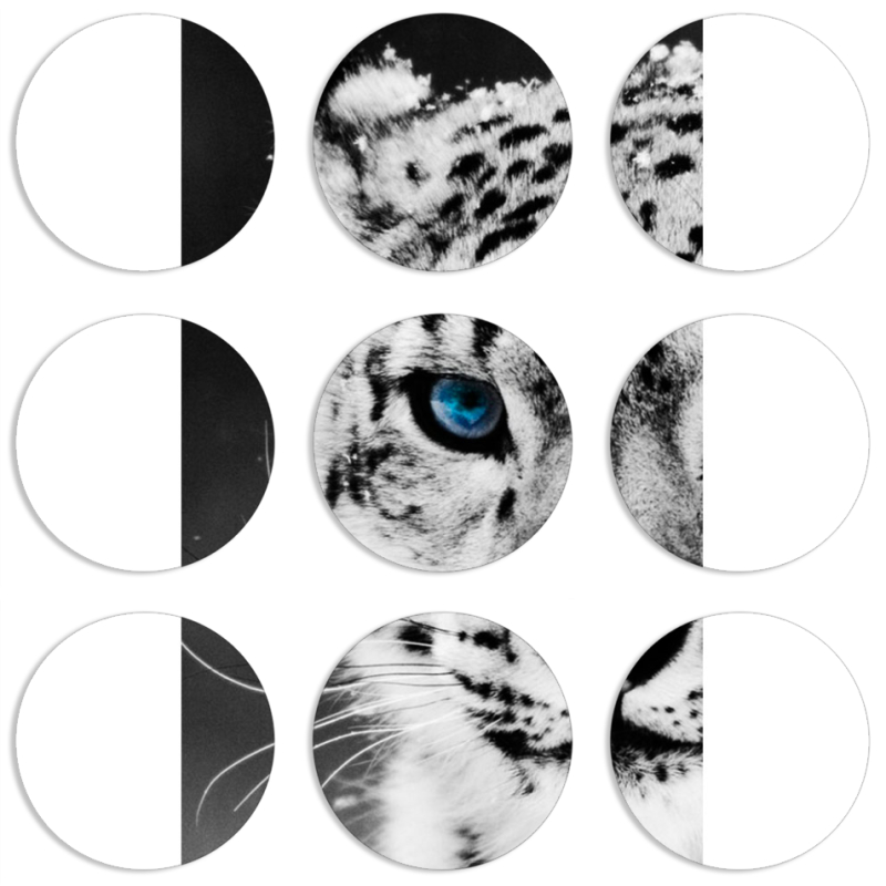 Магнитные фотопазлы круги d55 набор 9 штук 