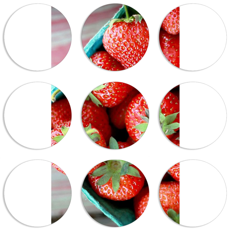 Магнитные фотопазлы круги d55 набор 9 штук 