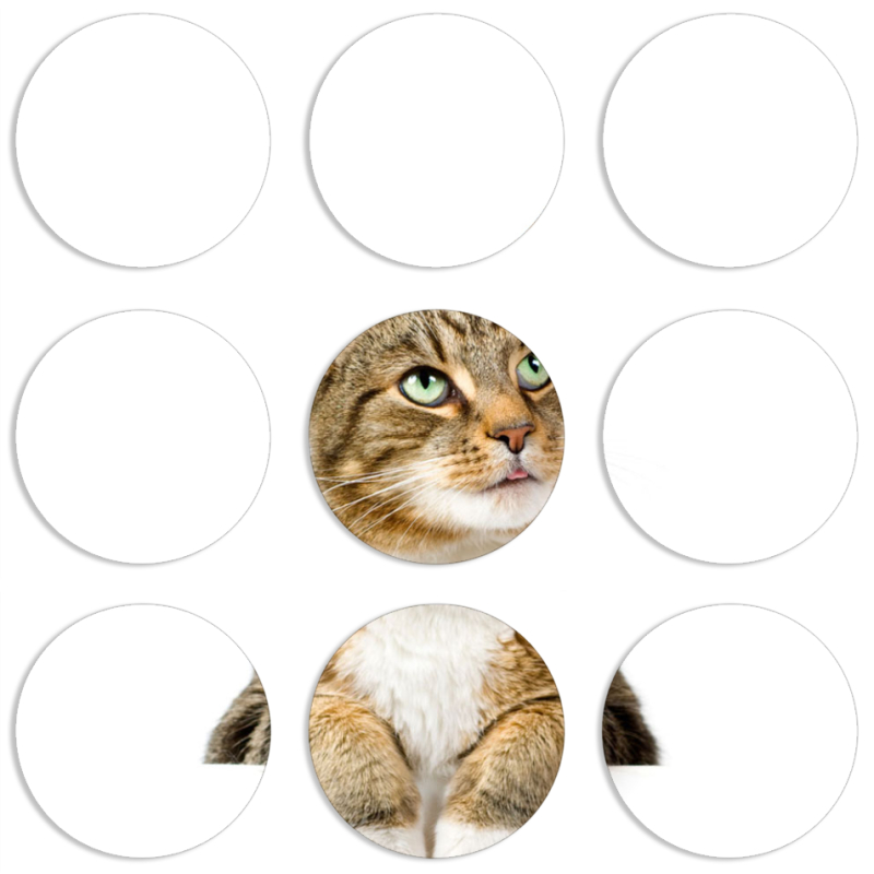 Магнитные фотопазлы круги d55 набор 9 штук 