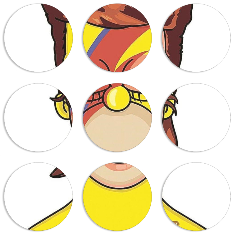 Магнитные фотопазлы круги d55 набор 9 штук 