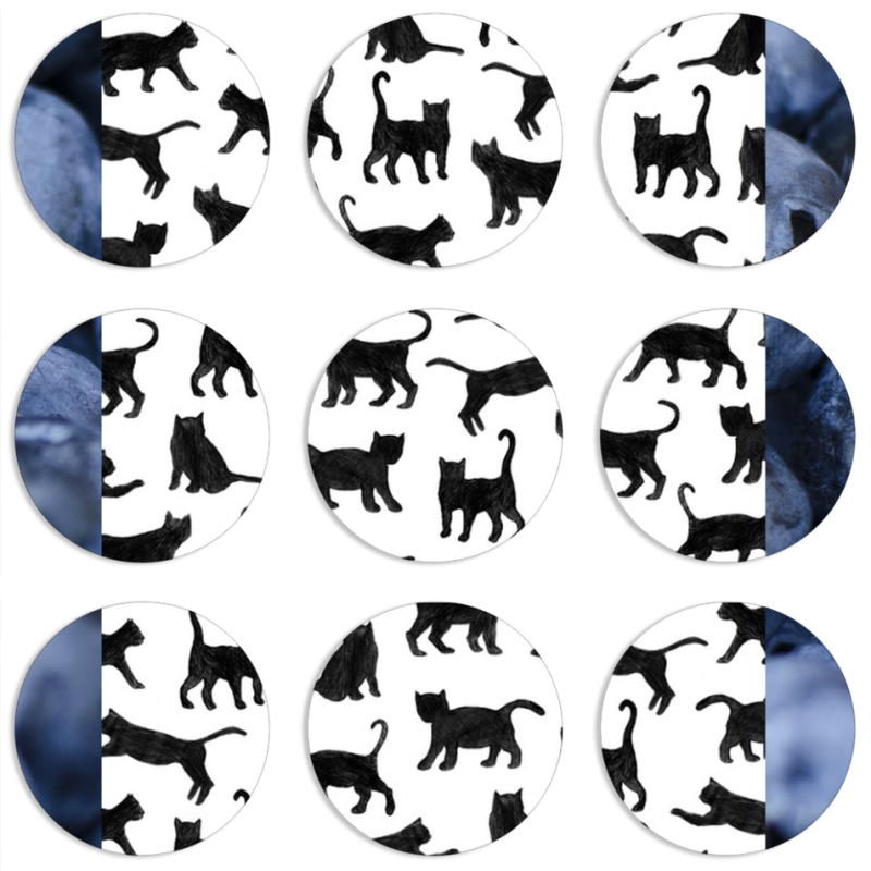 Магнитные фотопазлы круги d55 набор 9 штук 