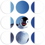 Магнитные фотопазлы круги d55 набор 9 штук 