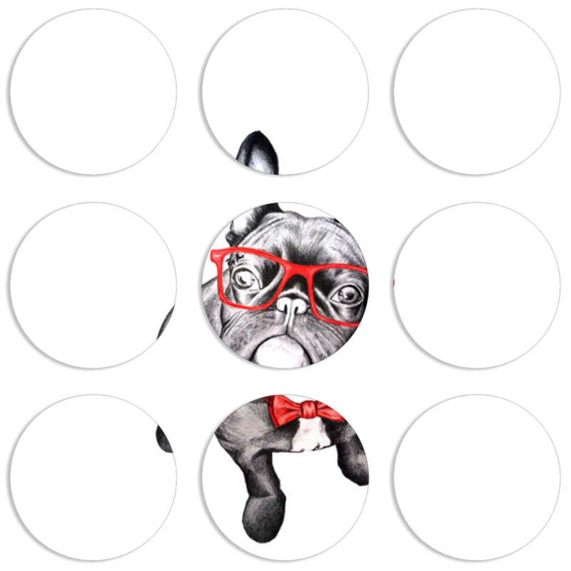 Магнитные фотопазлы круги d55 набор 9 штук 