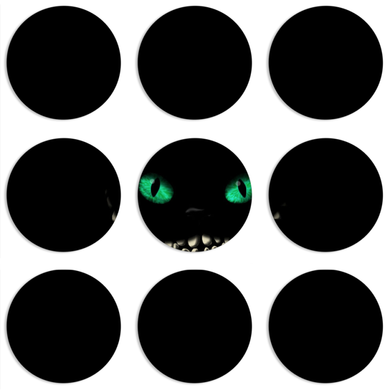 Магнитные фотопазлы круги d55 набор 9 штук 