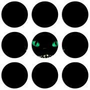 Магнитные фотопазлы круги d55 набор 9 штук 