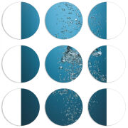 Магнитные фотопазлы круги d55 набор 9 штук 