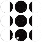 Магнитные фотопазлы круги d55 набор 9 штук 