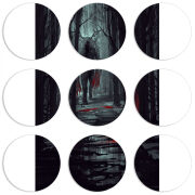 Магнитные фотопазлы круги d55 набор 9 штук Forest and Beast