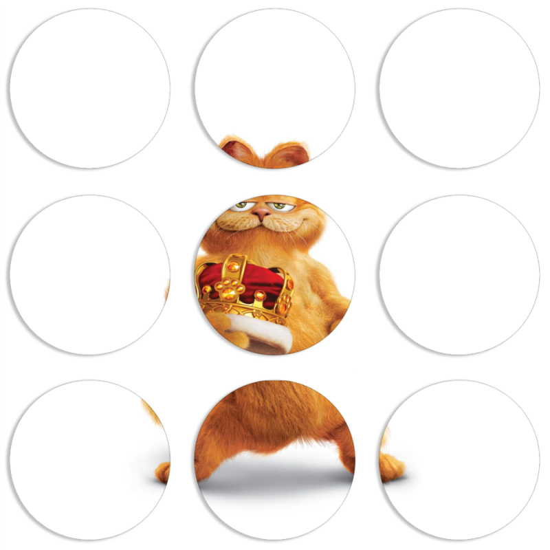 Магнитные фотопазлы круги d55 набор 9 штук 