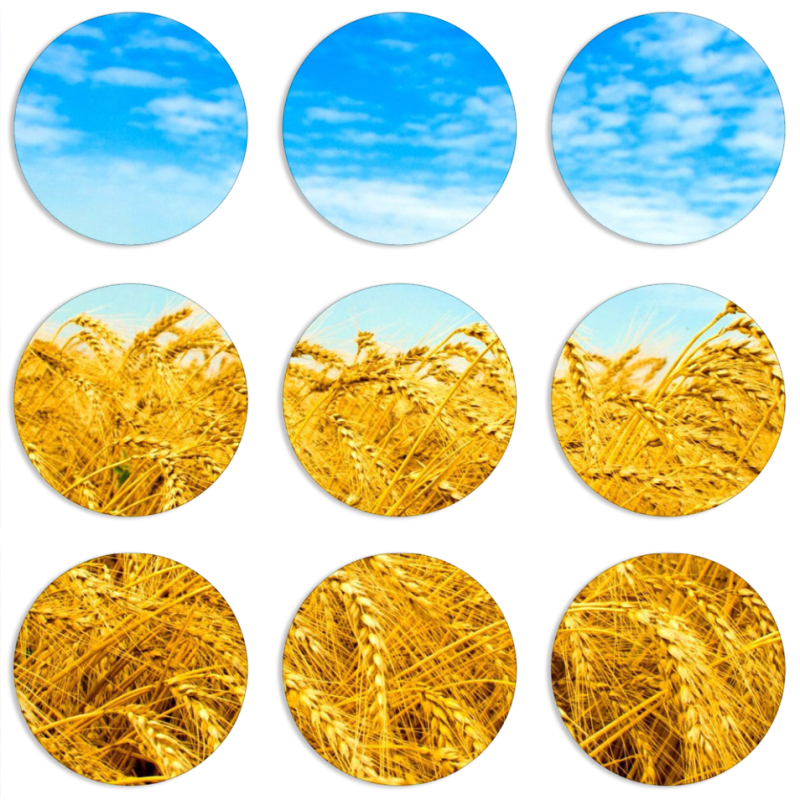 Магнитные фотопазлы круги d55 набор 9 штук 