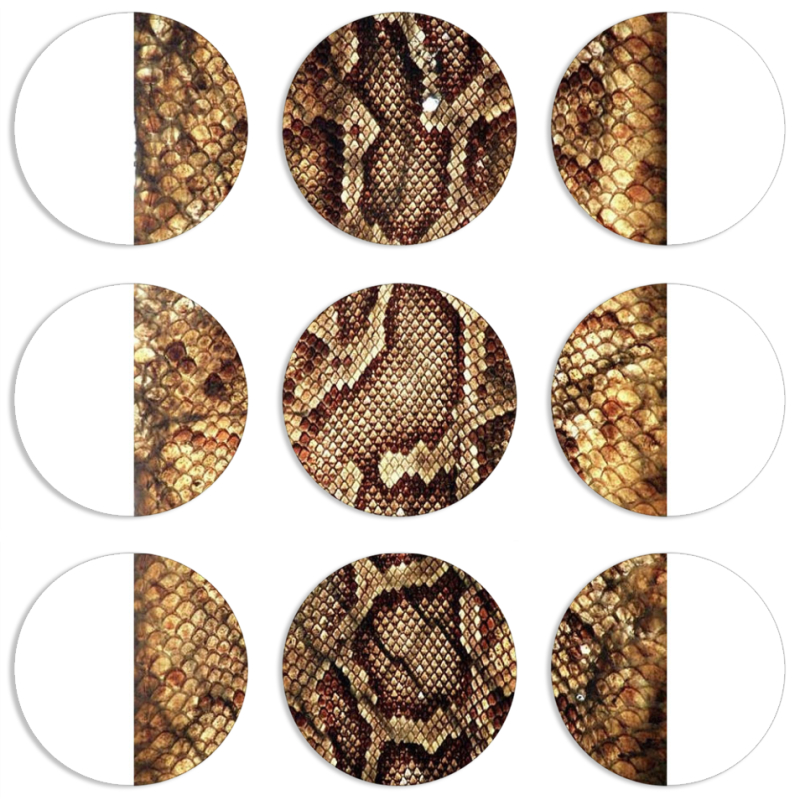 Магнитные фотопазлы круги d55 набор 9 штук 