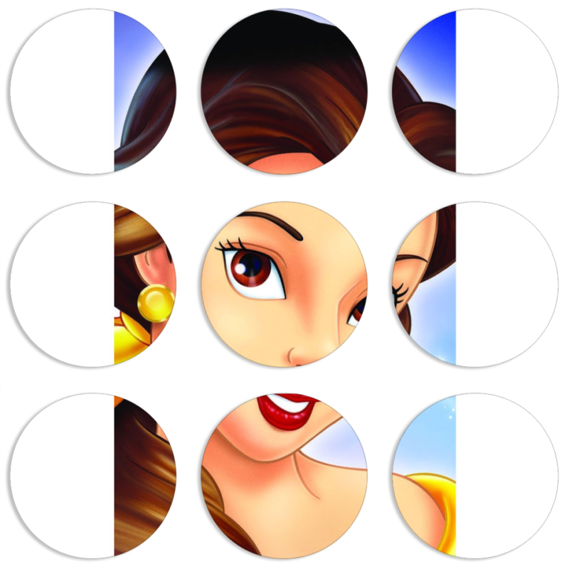 Магнитные фотопазлы круги d55 набор 9 штук 