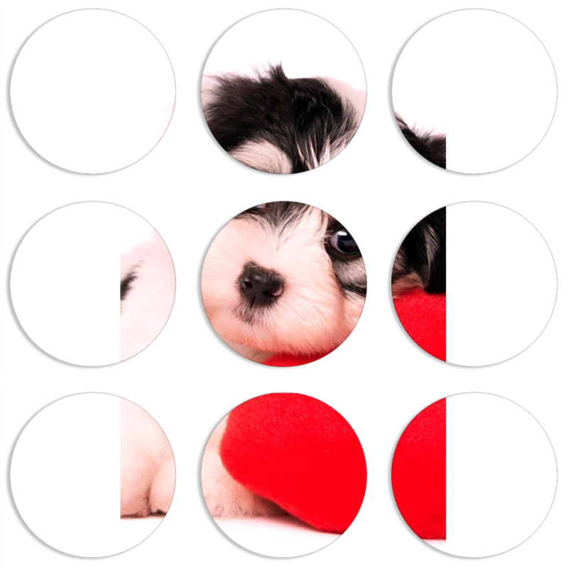 Магнитные фотопазлы круги d55 набор 9 штук 