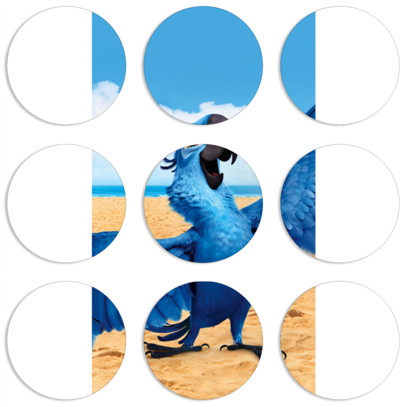 Магнитные фотопазлы круги d55 набор 9 штук 