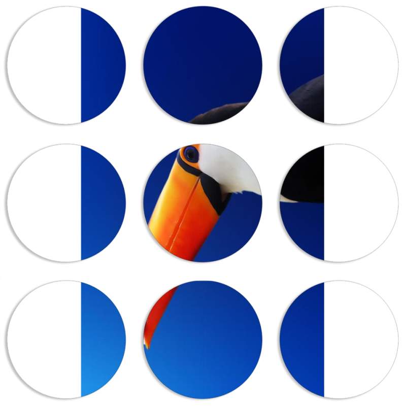 Магнитные фотопазлы круги d55 набор 9 штук 